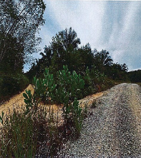 eszam_photo_86665_INS 3.jpg